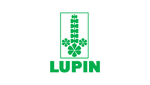 Lupin